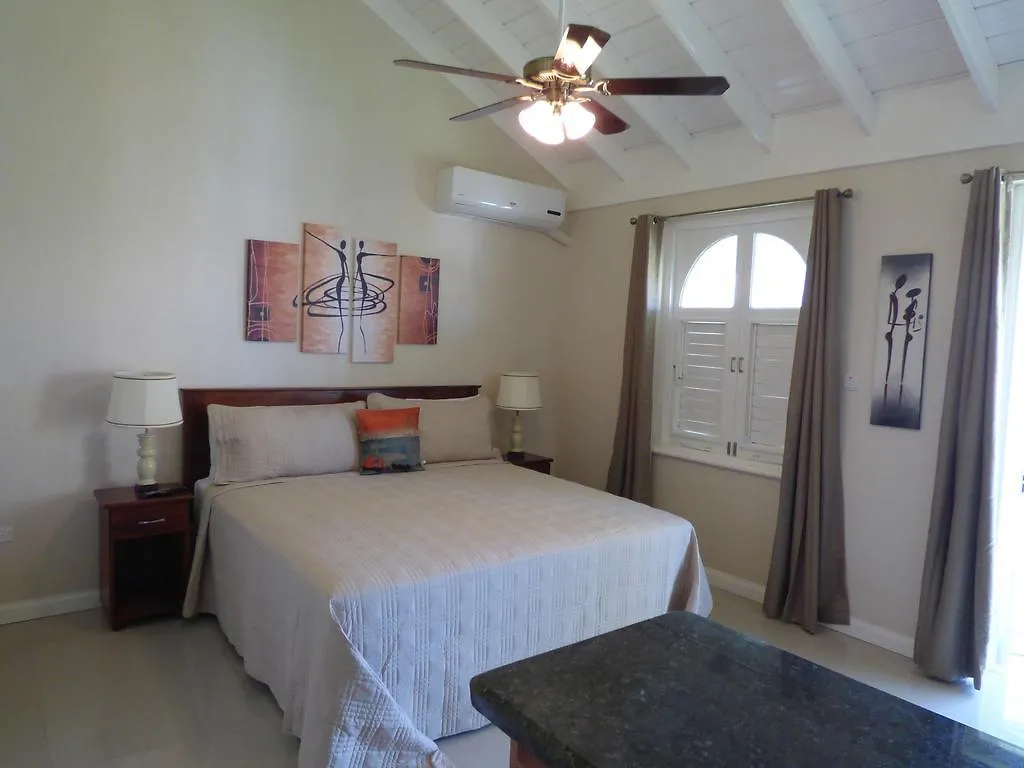 Beach Studio 30 Apartment Ocho Rios