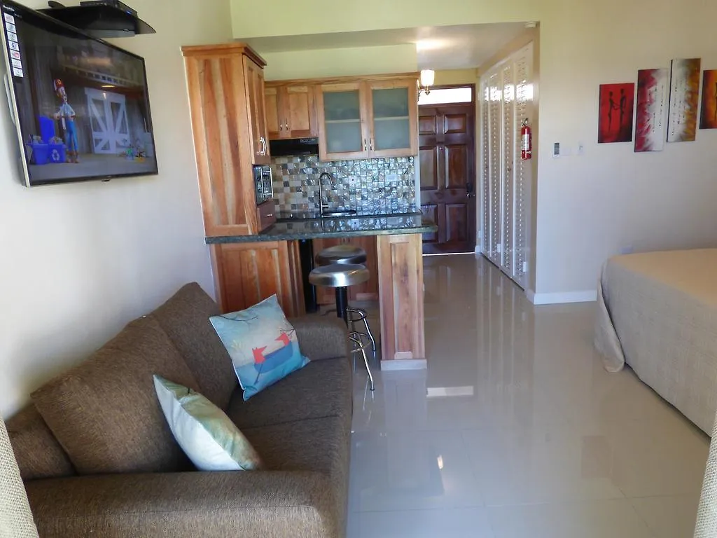 Beach Studio 30 Apartment Ocho Rios