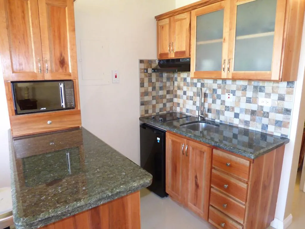 Beach Studio 30 Ocho Rios Apartment